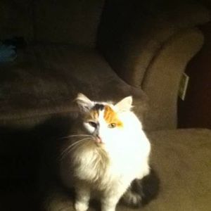 Meet your Posher, Maureen